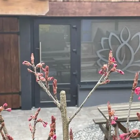 Apartment Les Granges De Jadis Alsace Bis