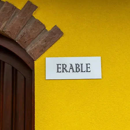 Apartament Les Granges De Jadis Alsace Bis *