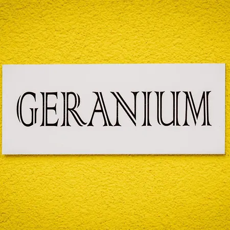 Les Granges De Jadis Alsace Bis Holtzwihr